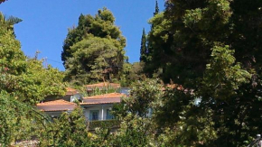 Sofia Holiday Studios
